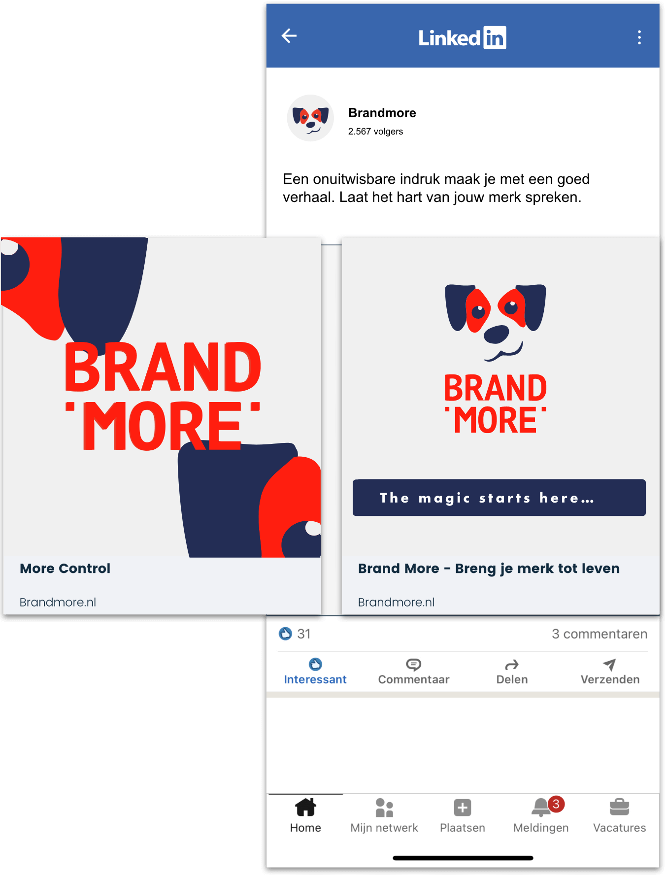 brandmore-linkedin-mobile-3..