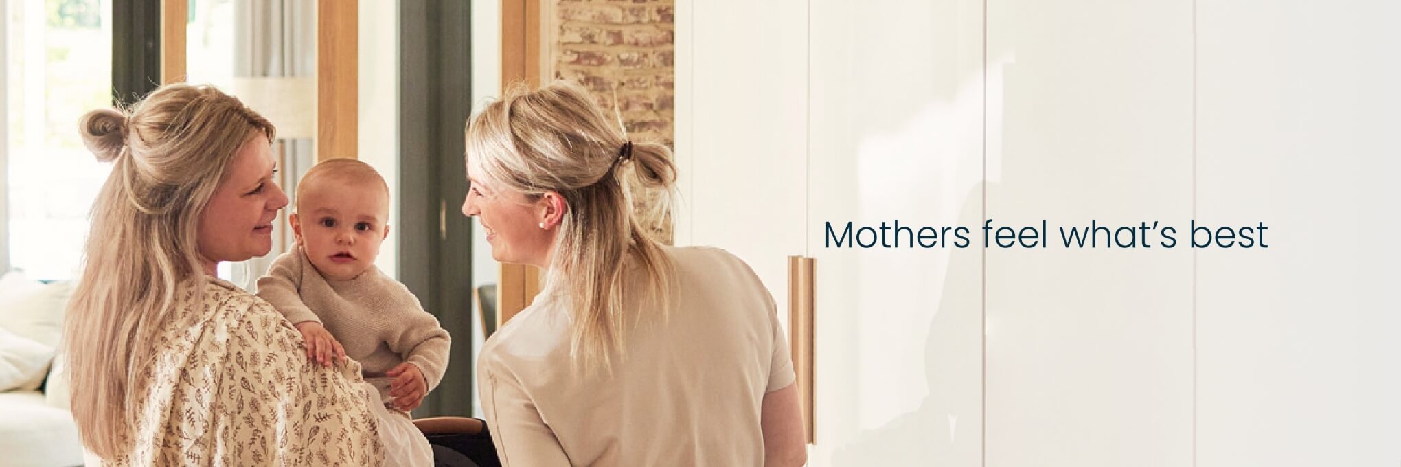 JOLLEIN_TWITTER_HEADER-IMAGE_1500x500 (1)